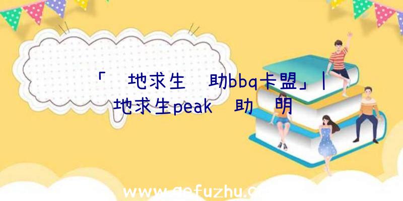 「绝地求生辅助bbq卡盟」|绝地求生peak辅助说明